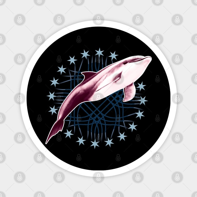 Dolphin Magnet by TMBTM